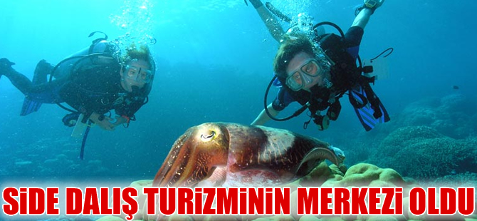 Turistler, su altında balık ve kaplumbağalara dokunmak için dalış yapıyor