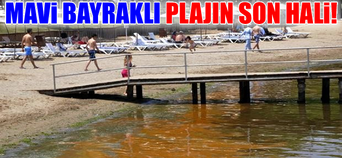 Kocaeli'deki Mavi bayraklı plaj kızıla boyandı!