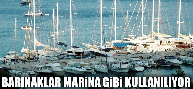 Bodrum’da ‘Balıkçı barınakları marina olarak kullanılıyor’ iddiası