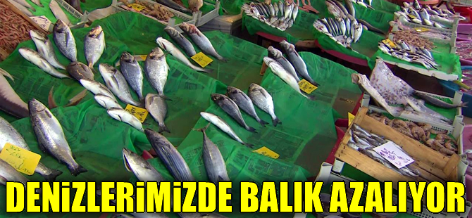 Türkiye’deki su ürünleri üretimi her yıl azalıyor