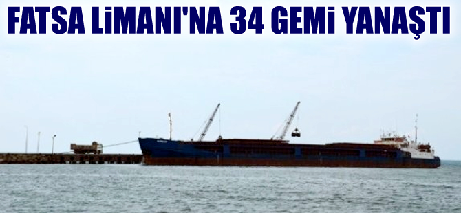 Fatsa Limanı'na demirleyen gemi sayısı her yıl yükseliyor