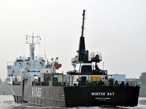 Pamela Anderson, Putin'den Winter Bay gemisinin geçişine izin vermemesini istedi