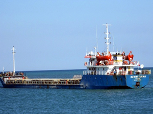 Denize buğday döken kaptan ve armatöre 6 yıl hapis istendi