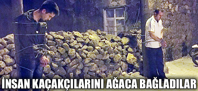 Çanakkale'de köylüler insan kaçakçılarını direğe bağladılar