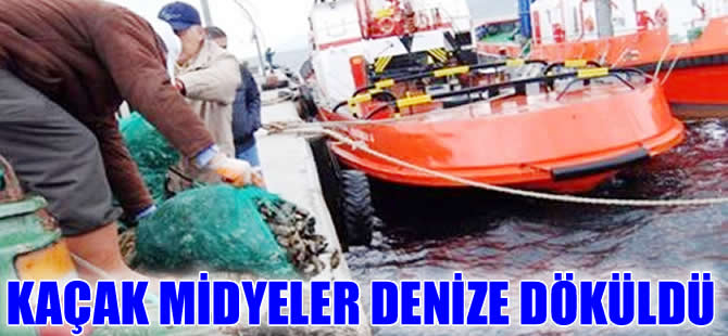 Sahil Güvenlik'ten kaçak midye operasyonu