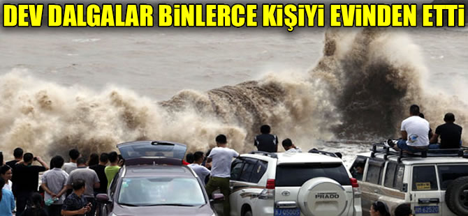 Chan-hom tayfunu 20 bin kişiyi evinden etti