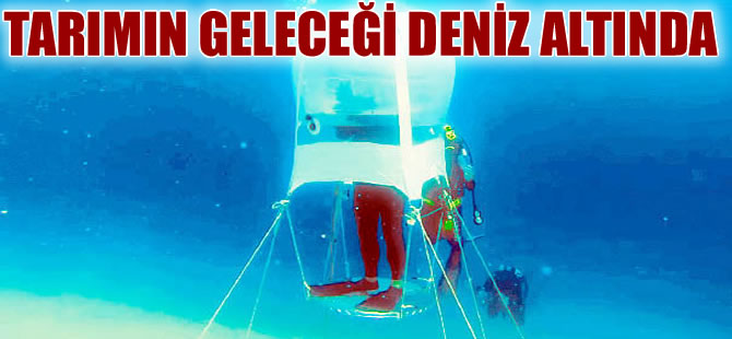 İtalya’da deniz altında tarım başladı