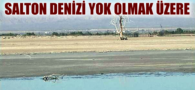 Salton Denizi küresel ısınmaya dayanamadı