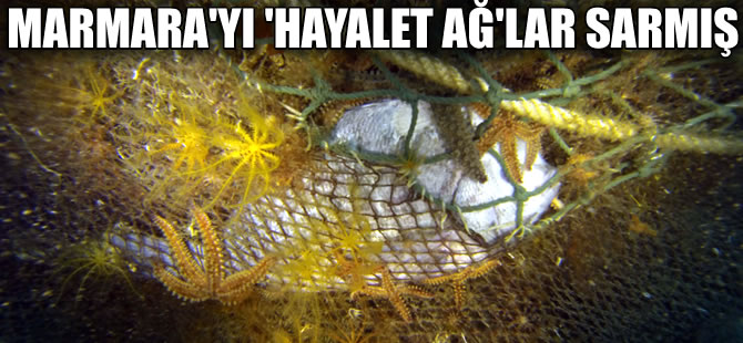 Marmara Denizi'nden 4 yılda 8 bin 500 metre kare 'Hayalet ağ' toplandı