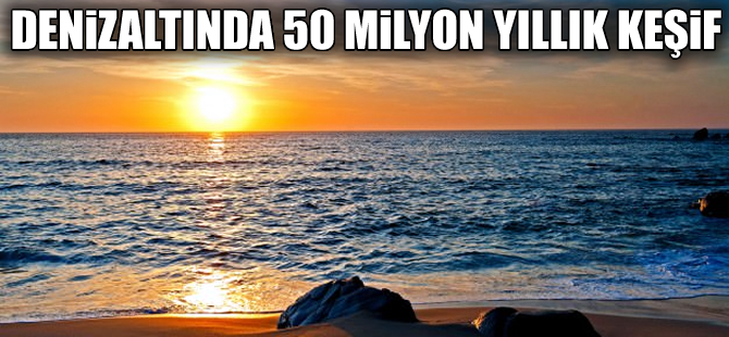 Okyanus dibinde 50 milyon yıllık beklenmedik keşif