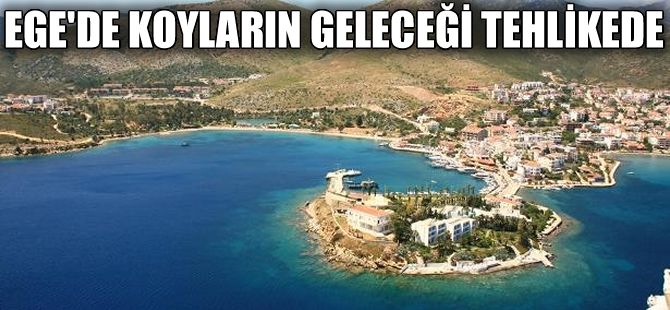 Datça’nın 77 koyundan 28’inin geleceği tehlikede