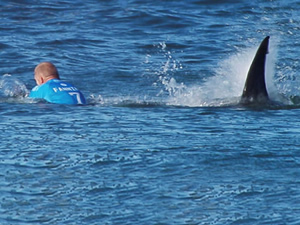 Şampiyon sörfçü Mick Fanning, köpekbalığı saldırısına uğradı