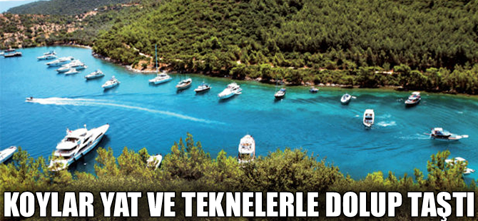 Bodrum koylarında tekne bağlayacak yer kalmadı
