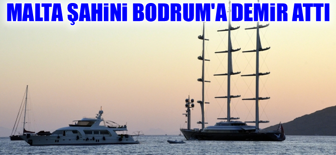 Malta Şahini yeniden Bodrum'a geldi