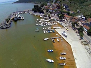 Ürperten görüntü! Bursa kıyıları kan kırmızı!