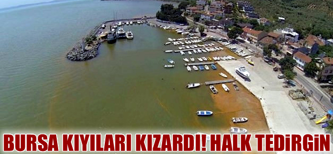 Ürperten görüntü! Bursa kıyıları kan kırmızı!
