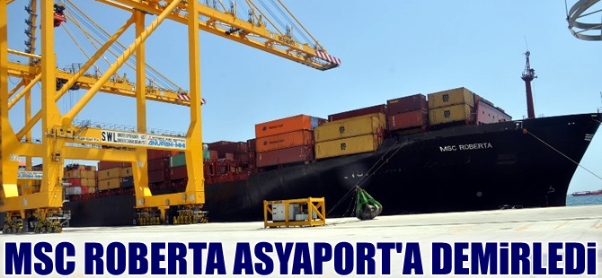 MSC Roberta, Asyaport Limanı'na yanaştı