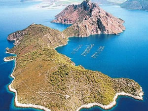 İsviçre, borçlara karşılık Yunanistan'dan ada istedi