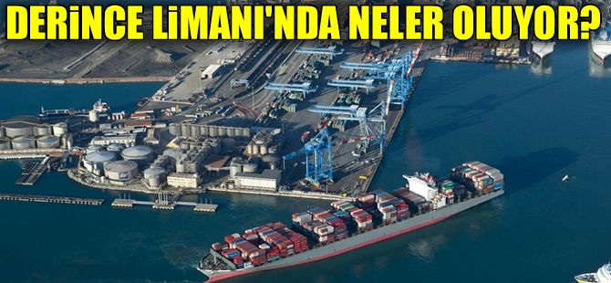 'Derince Limanı’nda, gemiler bilerek bekletiliyor' iddiası