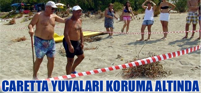 Çevreciler Hatay’da caretta caretta yuvalarını korumaya aldı