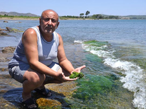 Datça’da deniz kirliliği uyarısı