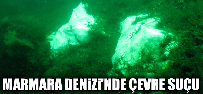 Tavşan Adası'nda balıkların yumurtlama alanları atıkla dolduruluyor