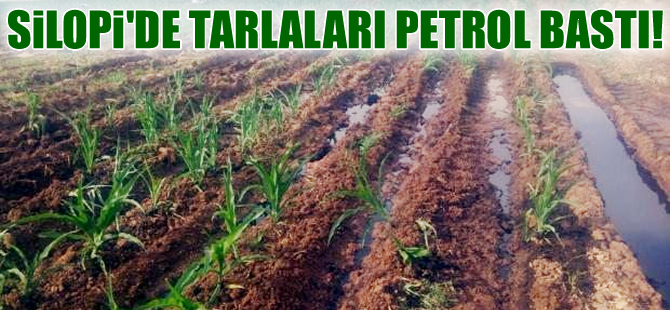 Kerkük-Yumurtalık petrol boru hattına sabotaj yapıldı