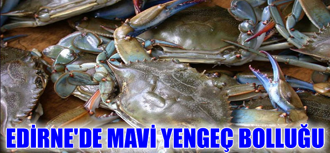 Enez'de bir günde 1 ton mavi yengeç avlanıyor