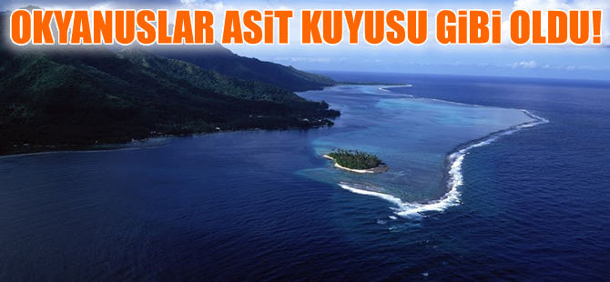 Okyanuslardaki asitlenme korkutuyor