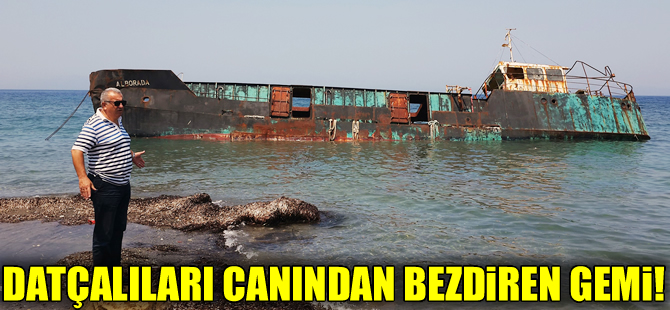 Datçalılar 5.5 yıldır yan yatan geminin kaldırılmasını bekliyor!