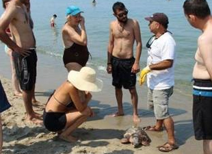 Kuşadası’nda ölü bir caretta caretta bulundu