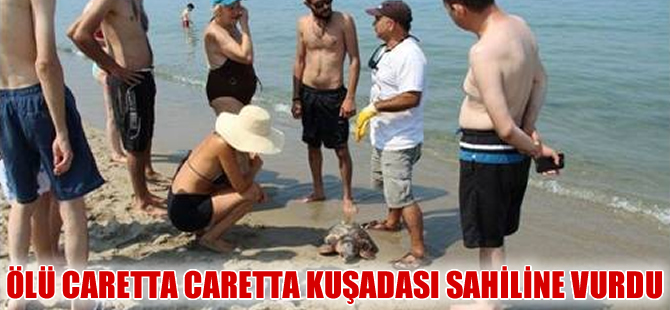 Kuşadası’nda ölü bir caretta caretta bulundu