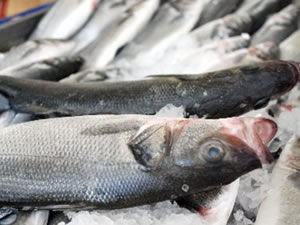 AB'den çipura ve levrek ihracatına sübvansiyon soruşturması