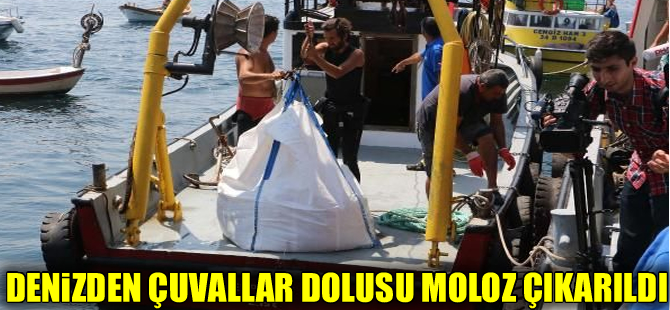 Tavşan Adası'nda denizden 100 çuval moloz çıkarıldı