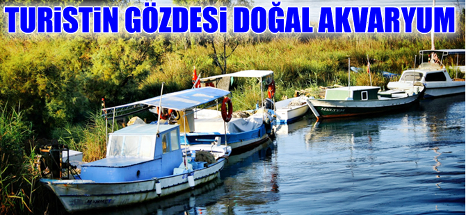 Doğal akvaryum Kadın Azmağı yok olma tehlikesi ile karşı karşıya