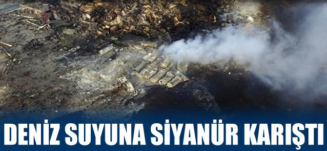 Tianjin Limanı’nda deniz suyunda Siyanür tespit edildi