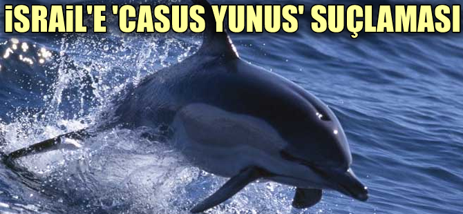 Hamas'tan İsrail'e "casus yunus" suçlaması