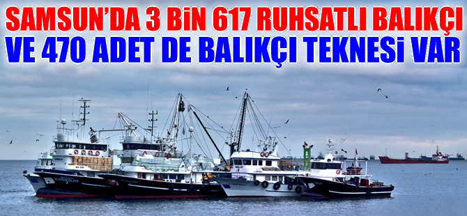 Samsun’da 3 bin 617 ruhsatlı balıkçı ve 470 balıkçı teknesi av sezonunu bekliyor