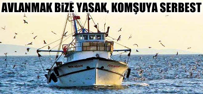 Yunanistan bizden aldığı balığı yine bize satıyor