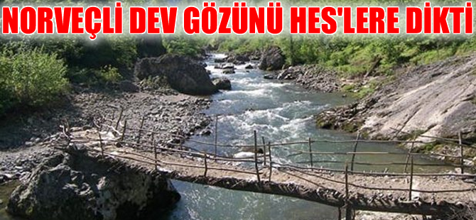 Norveçli dev gözünü Türkiye'de özelleştirilecek HES’lere  dikti