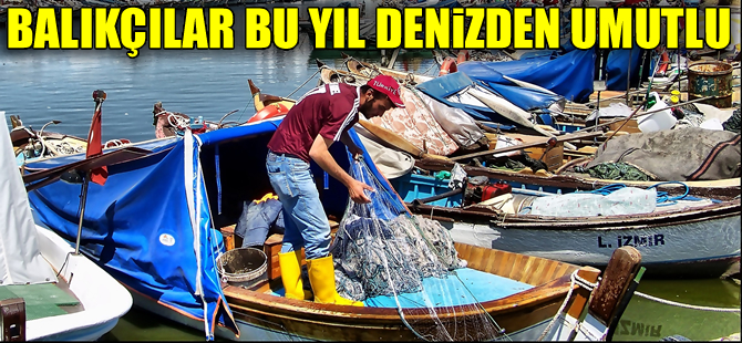 Av yasağı 1 Eylül'de bitiyor, bu sene hamsi bol olacak