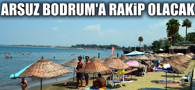 Arsuzlu yöneticiler marina yapılması için harekete geçti