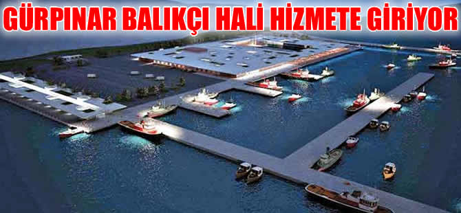 Avrupa'nın en büyük su ürünleri hali Gürpınar yarın hizmete giriyor