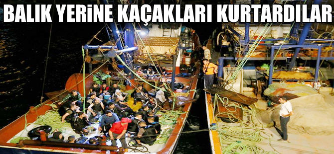 Balık için açılan balıkçılar, kaçakları kurtardı