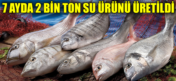 Antalyada 7 ayda 2 bin ton su ürünü üretildi