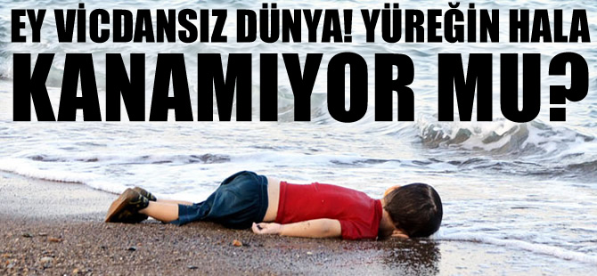 Ey vicdansız dünya! Hala yüreğin kanamıyor mu?