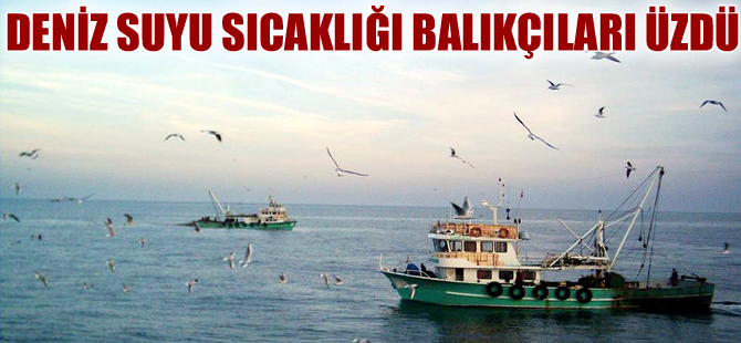 Deniz suyu sıcaklığı balıkçıları hüsrana uğrattı