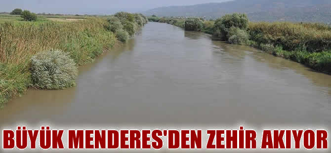 "Büyük Menderes'deki kirlilik sulamada kullanılamayacak düzeyde"