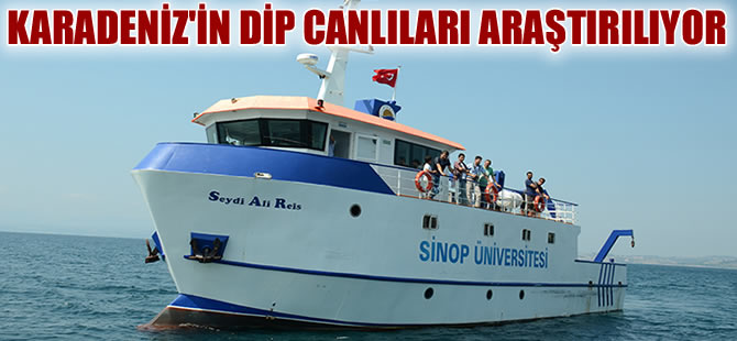 Karadeniz'de dipte yaşayan canlı türleri araştırılıyor