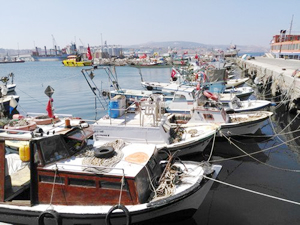 Bandırma Balık Hali'nde dip taraması yapılıyor